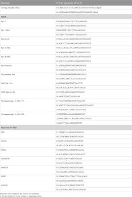 Role of epigenetics and the transcription factor Sp1 in the expression of the D prostanoid receptor 1 in human cartilage